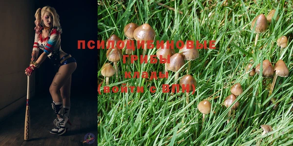 PSILOCYBIN Абдулино