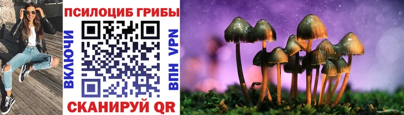 kraken вход  Туринск  Псилоцибиновые грибы мицелий 
